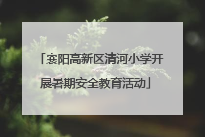 襄阳高新区清河小学开展暑期安全教育活动