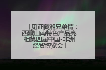 见证藏湘兄弟情：西藏山南特色产品亮相第四届中国-非洲经贸博览会