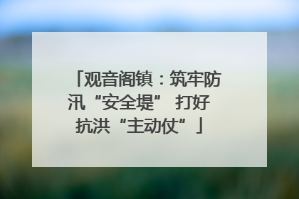 观音阁镇：筑牢防汛“安全堤” 打好抗洪“主动仗”