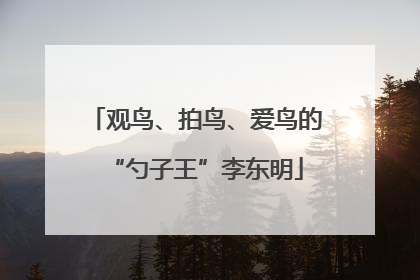 观鸟、拍鸟、爱鸟的“勺子王”李东明