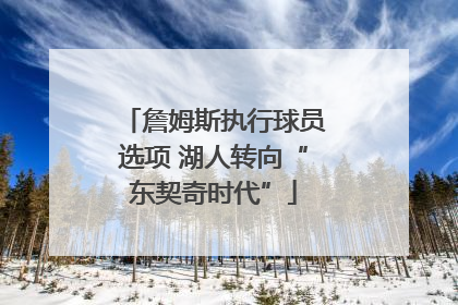 詹姆斯执行球员选项 湖人转向“东契奇时代”