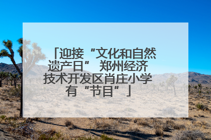 迎接“文化和自然遗产日” 郑州经济技术开发区肖庄小学有“节目”