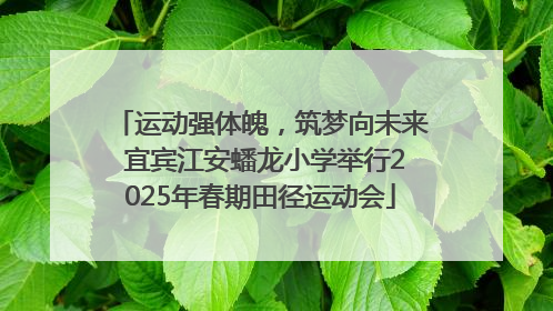 运动强体魄，筑梦向未来 宜宾江安蟠龙小学举行2025年春期田径运动会