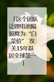 这个团队让锂电池隔膜降为“白菜价” 攻关15年跃居全球第一