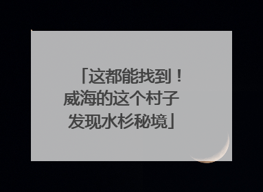 这都能找到！威海的这个村子发现水杉秘境