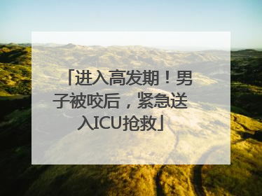 进入高发期！男子被咬后，紧急送入ICU抢救