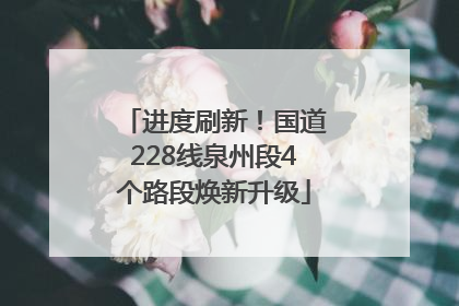 进度刷新！国道228线泉州段4个路段焕新升级