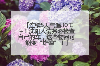 连续5天气温30℃+！沈阳人请务必检查自己的车，这些物品可能变“炸弹”！