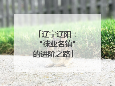 辽宁辽阳：“袜业名镇”的进阶之路