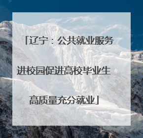 辽宁：公共就业服务进校园促进高校毕业生高质量充分就业