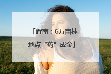 辉南：6万亩林地点“药”成金