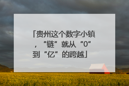 贵州这个数字小镇，“链”就从“0”到“亿”的跨越
