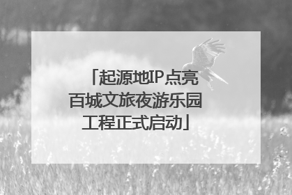 起源地IP点亮百城文旅夜游乐园工程正式启动
