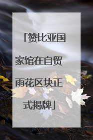 赞比亚国家馆在自贸雨花区块正式揭牌