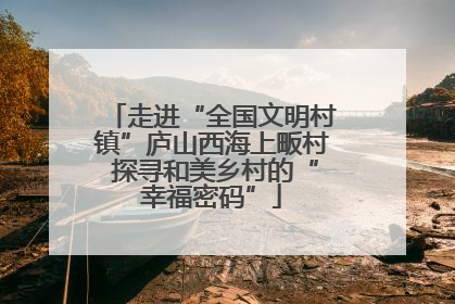 走进“全国文明村镇”庐山西海上畈村 探寻和美乡村的“幸福密码”