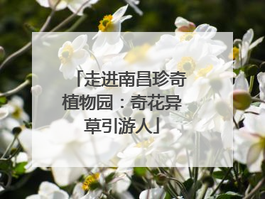 走进南昌珍奇植物园：奇花异草引游人