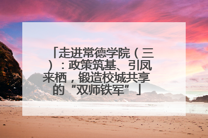 走进常德学院（三）：政策筑基、引凤来栖，锻造校城共享的“双师铁军”