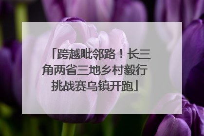 跨越毗邻路！长三角两省三地乡村毅行挑战赛乌镇开跑