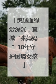 跨越血缘爱深沉，宜城“张妈妈”10年守护困境女孩