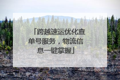 跨越速运优化查单号服务，物流信息一键掌握