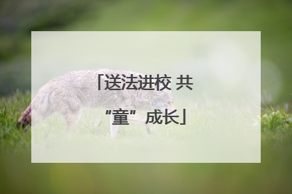 送法进校 共“童”成长