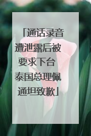 通话录音遭泄露后被要求下台 泰国总理佩通坦致歉