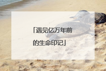 遇见亿万年前的生命印记