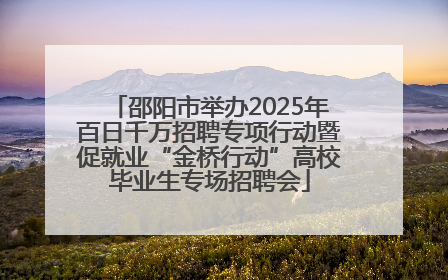 邵阳市举办2025年百日千万招聘专项行动暨促就业“金桥行动”高校毕业生专场招聘会