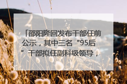 邵阳隆回发布干部任前公示，其中三名“95后”干部拟任副科级领导，均系硕士选调生