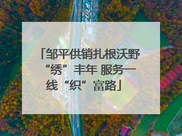 邹平供销扎根沃野“绣”丰年 服务一线“织”富路