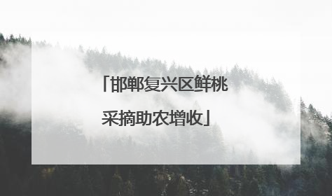邯郸复兴区鲜桃采摘助农增收