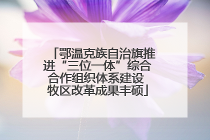 鄂温克族自治旗推进“三位一体”综合合作组织体系建设 牧区改革成果丰硕