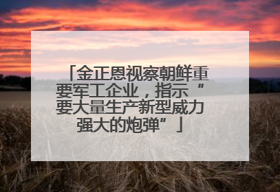 金正恩视察朝鲜重要军工企业，指示“要大量生产新型威力强大的炮弹”