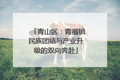 青山区：青福镇民族团结与产业升级的双向奔赴