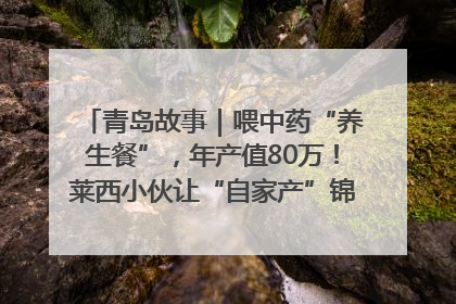 青岛故事｜喂中药“养生餐”，年产值80万！莱西小伙让“自家产”锦鲤“游”向全国