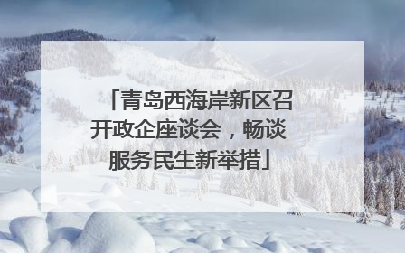 青岛西海岸新区召开政企座谈会，畅谈服务民生新举措