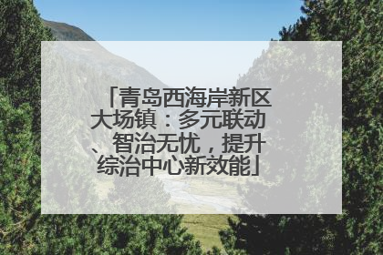 青岛西海岸新区大场镇：多元联动、智治无忧，提升综治中心新效能