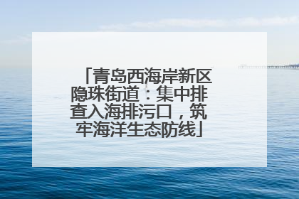 青岛西海岸新区隐珠街道：集中排查入海排污口，筑牢海洋生态防线