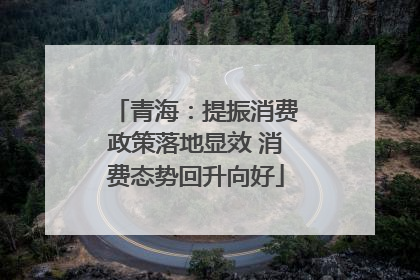 青海：提振消费政策落地显效 消费态势回升向好