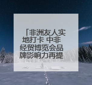 非洲友人实地打卡 中非经贸博览会品牌影响力再提升