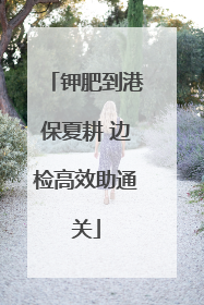 钾肥到港保夏耕 边检高效助通关