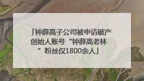 钟薛高子公司被申请破产 创始人账号“钟薛高老林”粉丝仅1800余人