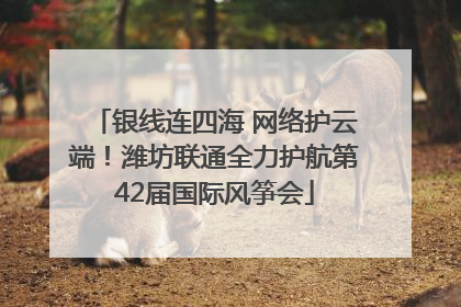 银线连四海 网络护云端！潍坊联通全力护航第42届国际风筝会