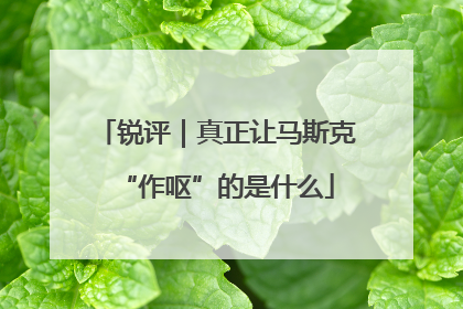 锐评｜真正让马斯克“作呕”的是什么