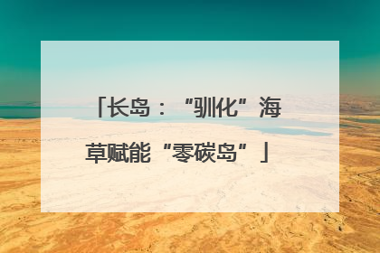 长岛：“驯化”海草赋能“零碳岛”