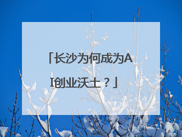 长沙为何成为AI创业沃土？