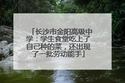 长沙市金阳高级中学：学生食堂吃上了自己种的菜，还出现了一批劳动能手