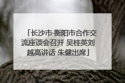 长沙市·衡阳市合作交流座谈会召开 吴桂英刘越高讲话 朱健出席