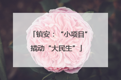 镇安：“小项目”撬动“大民生”