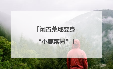 闲置荒地变身“小鹿菜园”